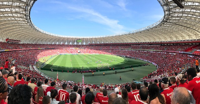 化陣容